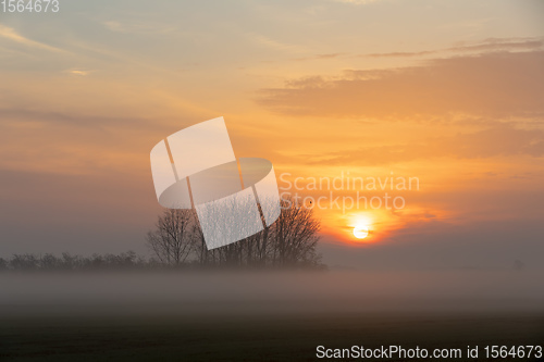 Image of Sunrise landscape of Hortobagy landscape