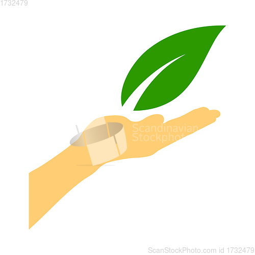 Image of Hand Holding Leaf Icon