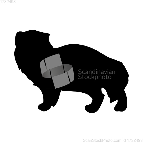 Image of Arctic Fox Silhouette