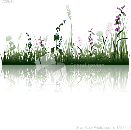 Image of grass on water