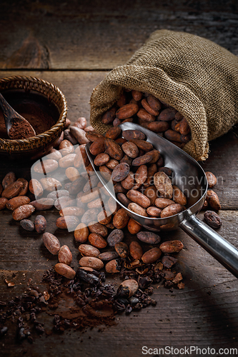 Image of Roasted cocoa beans