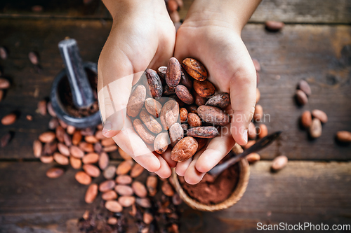 Image of Hand holds cocoa beans