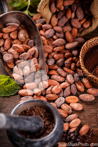 Image of Cocoa beans