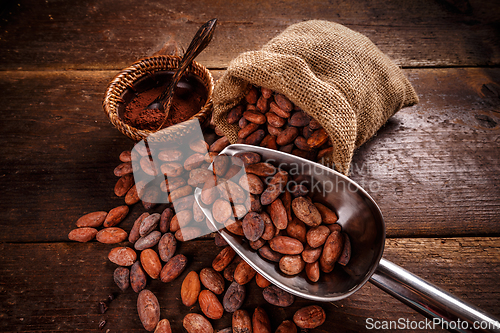 Image of Still life of cocoa beans