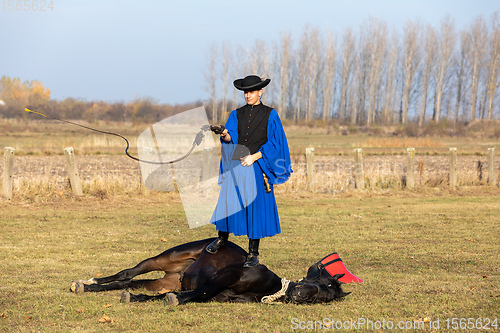 Image of Hungarian csikos horseman in traditional folk costume