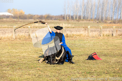 Image of Hungarian csikos horseman in traditional folk costume