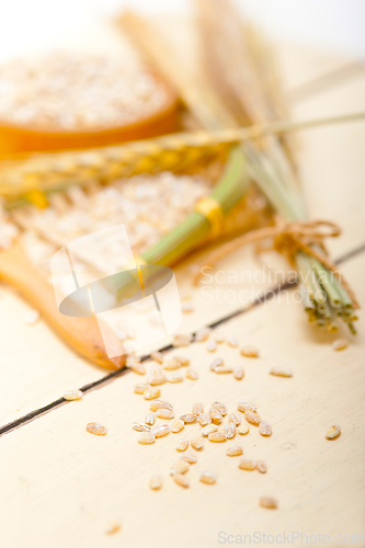 Image of organic wheat grains