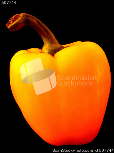Image of paprika