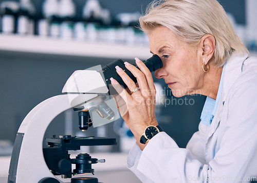 Image of Microscope, research and woman scientist looking for sample analysis or experiment in a laboratory for a medical project. Science, equipment and professional test bacteria or DNA in a chemistry lab