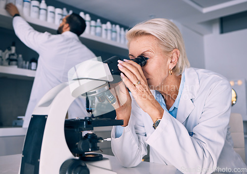 Image of Microscope, research and woman scientist analysis or looking at sample or experiment in a laboratory for a medical project. Science, equipment and professional test bacteria or DNA in a chemistry lab