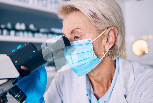 Image of Mask, research and woman with a microscope, medical and science with experiment, check results and safety. Person, scientist and researcher with lab equipment, face cover and studying virus for cure