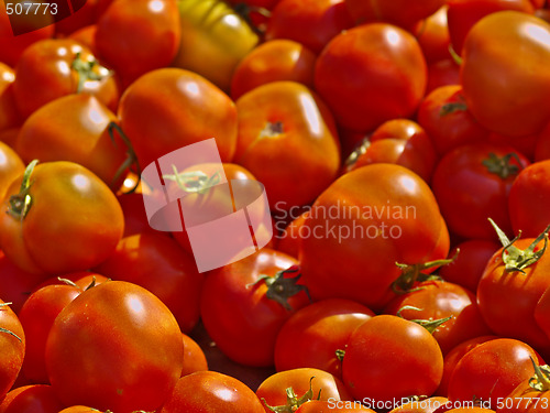 Image of fresh tomatoes