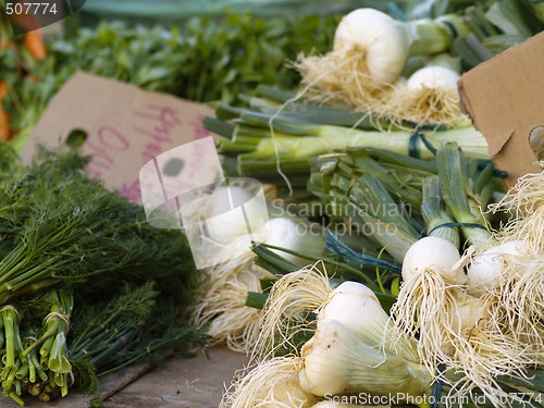 Image of fresh spices