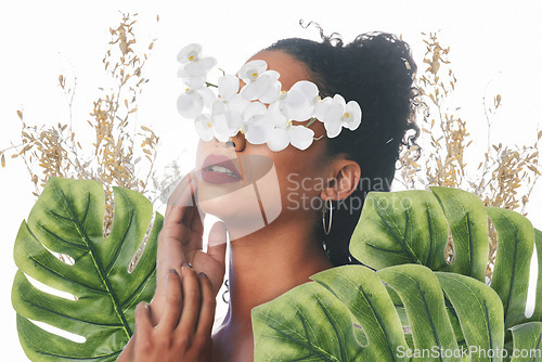 Image of Beauty, aesthetic and face of woman with flowers for wellness, natural cosmetics and skincare in studio. Orchid, leaf and female person florals for makeup, glamour and facial on white background