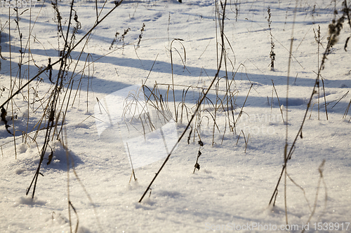 Image of snow and ice covered grass