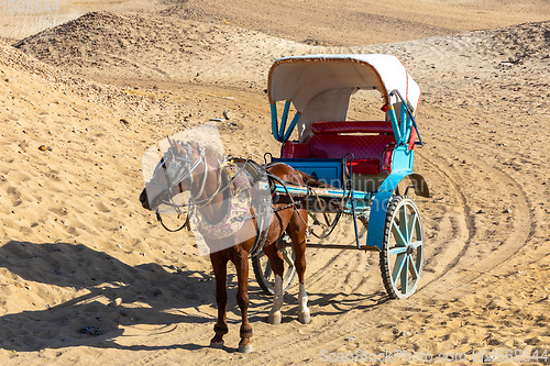 Image of horse chariot in desert, Giza, Egypt