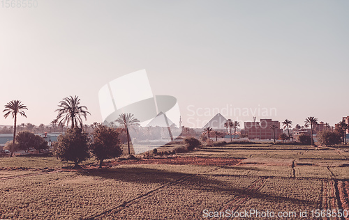 Image of Panorama of the Great Pyramids of Giza, Egypt