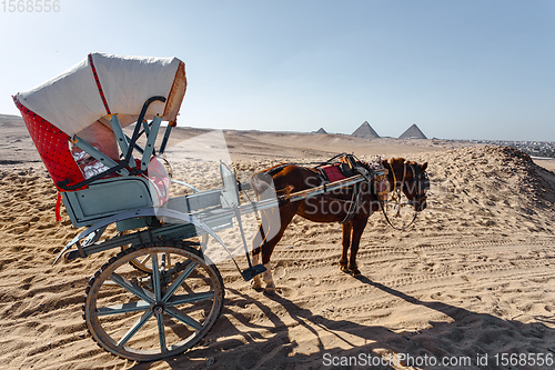 Image of horse chariot in desert, Giza, Egypt