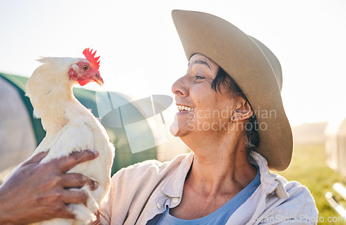 Image of Agriculture, chicken and mature woman in farm, countryside and nature for small business growth. Environment, sustainable farming and happy farmer with bird for free range poultry production outdoors