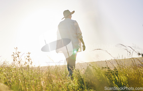 Image of Back, agriculture and a woman walking on a farm for sustainability or growth in the morning with flare. Farming, sunrise and female farmer on a nature landscape for eco friendly harvesting in season