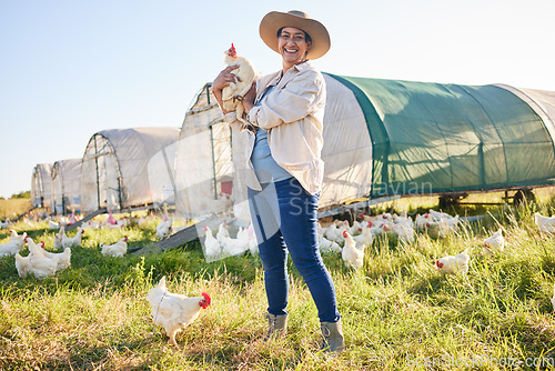 Image of Farm, chicken and portrait of woman in field, countryside and nature for small business, growth and ecology. Agriculture, sustainable farming and person with bird for free range poultry production