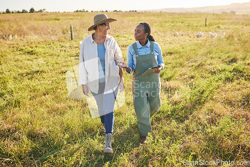 Image of Agriculture, walking and women on tablet on farm for internet, research and growth in countryside. Discussion, sustainable farming and people on digital tech for inventory, planning and inspection