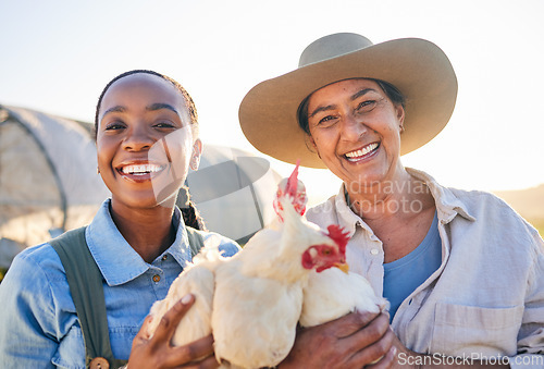 Image of Farm, chicken and portrait of women in field for animal inspection, growth and health of birds. Agriculture, small business and farmers smile for free range poultry, protein and eggs production