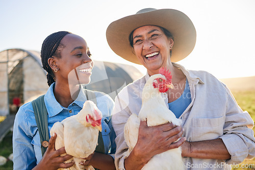 Image of Farm, happy and women with chicken in nature, countryside or field for wellness, growth or ecology. Agriculture team, sustainable farming and people for collaboration in free range poultry production