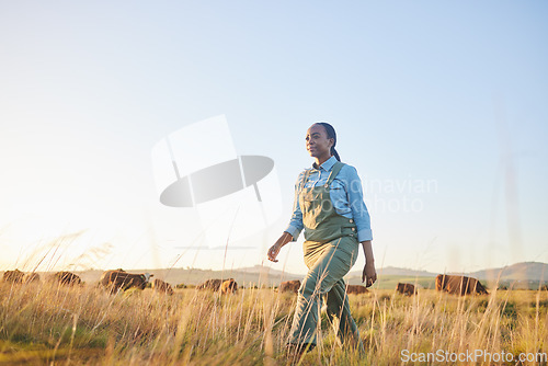 Image of Woman, farmer and walking in countryside on grass field with cow and cattle worker. African female person, and agriculture outdoor with animals and livestock for farming in nature with mockup space