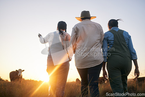 Image of Women, farmer group and walking in countryside on grass field at sunset with cow and cattle. Female friends, back and agriculture outdoor with animals and livestock for farming in nature with freedom