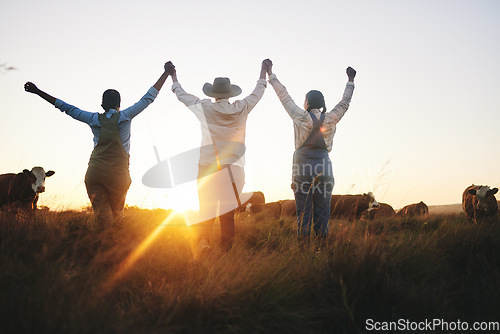 Image of Farm, success and women back with celebration, happy and excited for cattle industry growth or development. Friends, farmer and rear view of farming team celebrating agriculture, victory or milestone