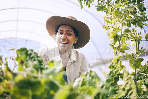 Image of Mature woman, agriculture and greenhouse with plants, wow and smile, harvest and vegetable farming. Farmer, happy with crops and sustainability, agro business and ecology with growth and gardening