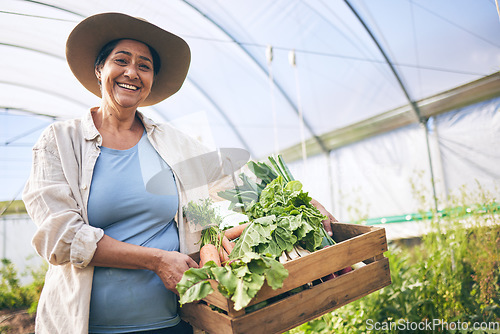 Image of Smile, greenhouse and portrait woman on vegetable farm for sustainable business, nature and box. Agriculture, gardening and happy face of female farmer, green plants and agro farming for healthy food