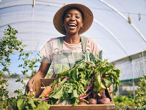 Image of Smile, greenhouse and portrait of black woman on farm with sustainable business, nature and plants. Agriculture, gardening and happy female farmer in Africa, green vegetables and agro farming food.