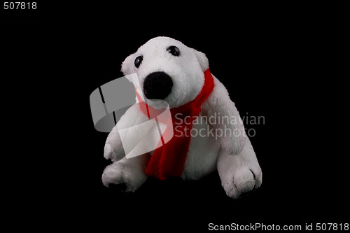 Image of white bear 