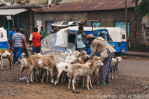 Image of Ethiopian people on animal market, Ethiopia Africa