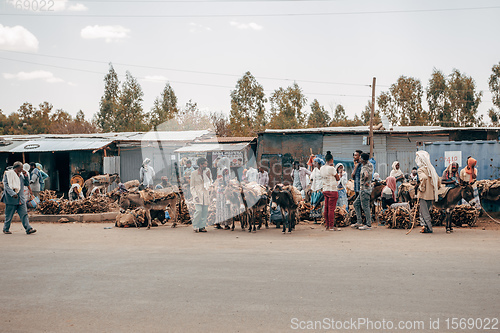 Image of Ethiopian people selling firewood, Ethiopia Africa