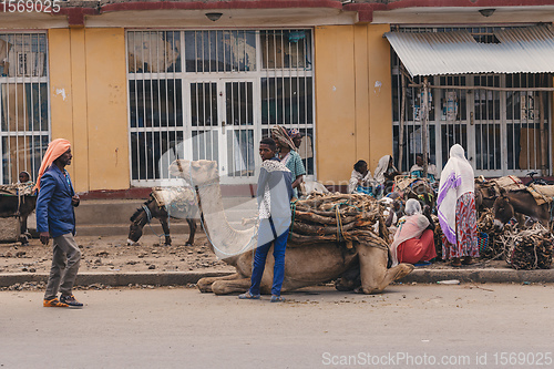 Image of Ethiopian people selling firewood, Ethiopia Africa