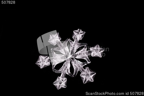 Image of WHITE SNOWFLAKE CLOSE UP 