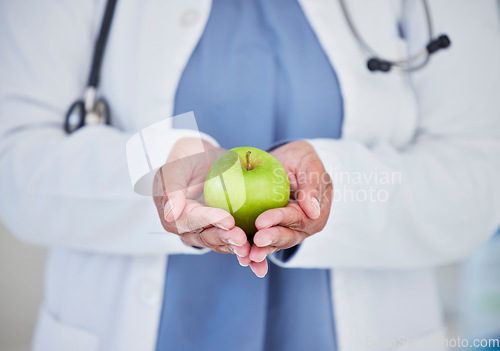 Image of Doctor, hands and apple in healthcare diet, natural nutrition or healthy vitamin food at the hospital. Closeup of medical professional holding organic green fruit for health and wellness at clinic