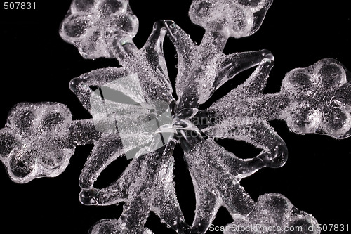 Image of WHITE SNOWFLAKE CLOSE UP 