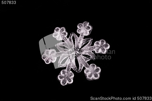 Image of WHITE SNOWFLAKE CLOSE UP