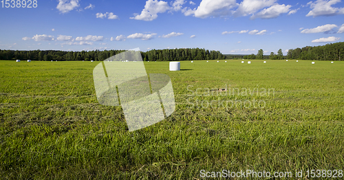 Image of preparation of haylage