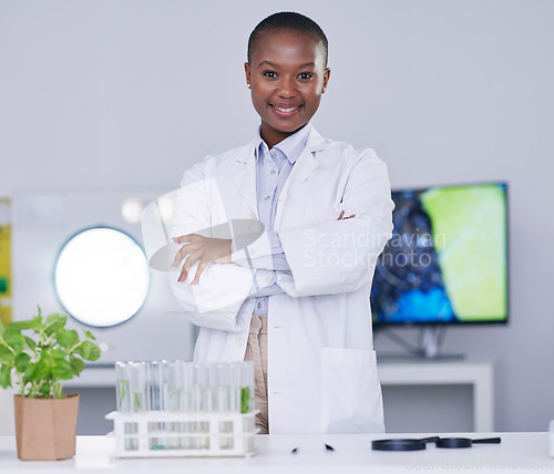 Image of Black woman, portrait and scientist with arms crossed in lab, office and confidence for biotechnology research or work. Science, laboratory and expert with innovation in African plants or biology