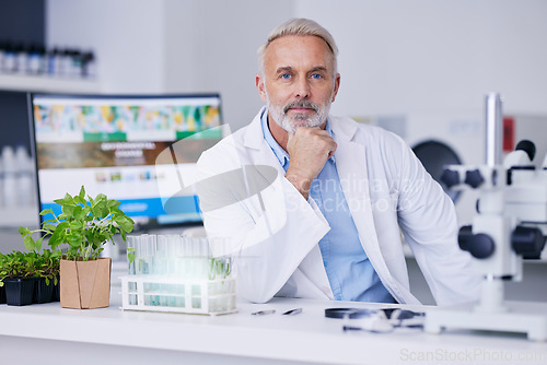 Image of Portrait, mature scientist and man in laboratory for research, working and experiment of plants. Face, science doctor and medical professional studying food, gmo or leaf for healthcare in Canada.