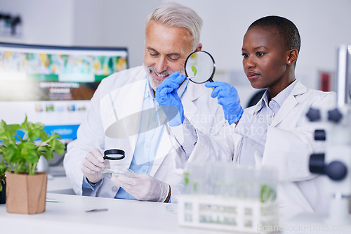 Image of Research, scientists and team for ecology science, plant innovation and studying in lab. Together, diversity and man and woman with agriculture for futuristic environment analysis or sustainability