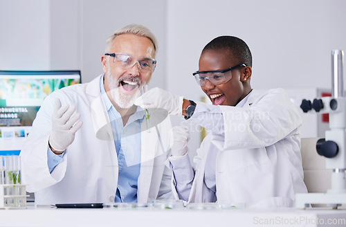 Image of Scientist, people with test tube and plant, cheers and success, black woman and senior man, medical research in lab. Mentor, learning and leaf sample, environment study breakthrough and celebration