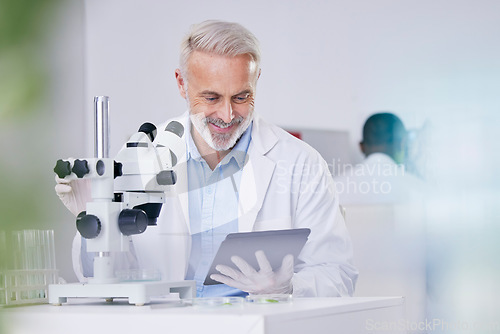 Image of Science, laboratory and happy man with microscope, tablet and research with plants, biotech or sustainable medicine. Professional scientist with study on nature, growth and digital analysis of leaves