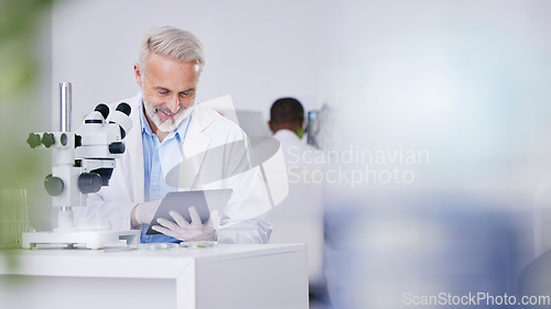 Image of Science, lab and man with tablet, research and biotech with plants, botany or sustainable medicine mockup. Professional scientist in study on nature, growth and digital report of leaves in laboratory