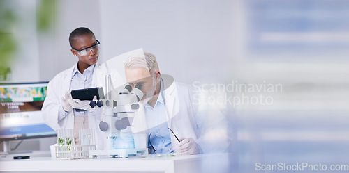 Image of Science, black woman with mockup and man with microscope, biotech and digital research in plants for medicine. Scientist team in study on nature, growth and digital analysis on tablet in laboratory.